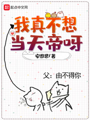 我的美女上司
