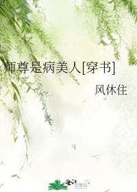 极品上门龙婿林夕一一