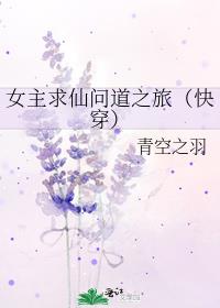 开车情缘